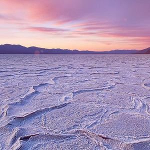 Meet your Posher, Jayden